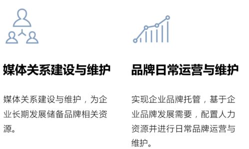 大道恒美 大品牌戰略驅動企業商業價值生長