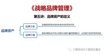 戰略品牌管理 構建持久競爭優勢的核心